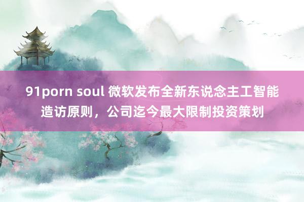 91porn soul 微软发布全新东说念主工智能造访原则，公司迄今最大限制投资策划