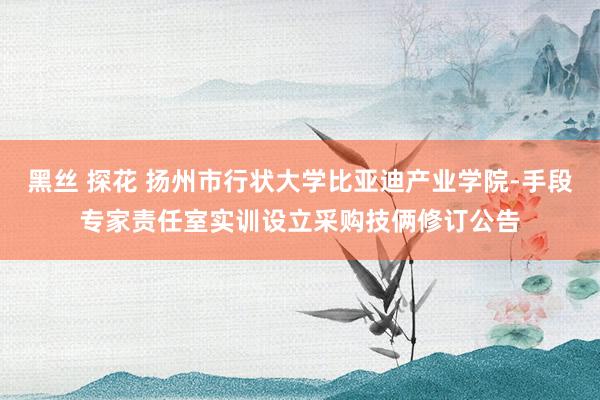 黑丝 探花 扬州市行状大学比亚迪产业学院-手段专家责任室实训设立采购技俩修订公告