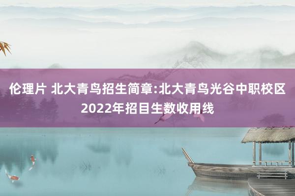 伦理片 北大青鸟招生简章:北大青鸟光谷中职校区2022年招目生数收用线