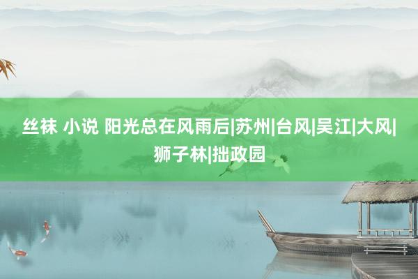 丝袜 小说 阳光总在风雨后|苏州|台风|吴江|大风|狮子林|拙政园