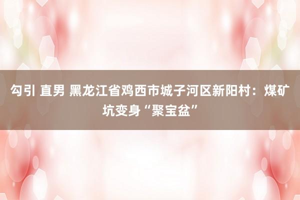 勾引 直男 黑龙江省鸡西市城子河区新阳村：煤矿坑变身“聚宝盆”