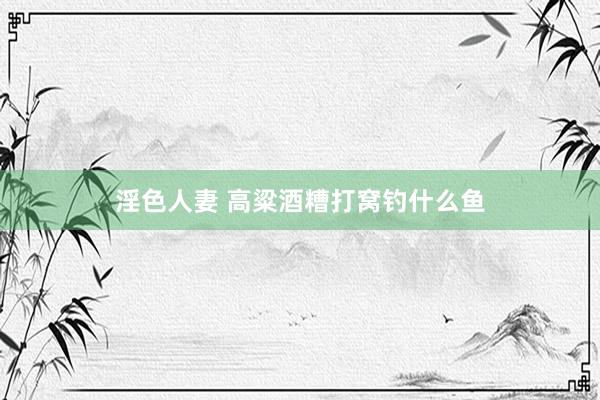 淫色人妻 高粱酒糟打窝钓什么鱼