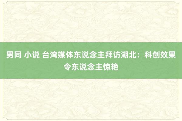 男同 小说 台湾媒体东说念主拜访湖北：科创效果令东说念主惊艳