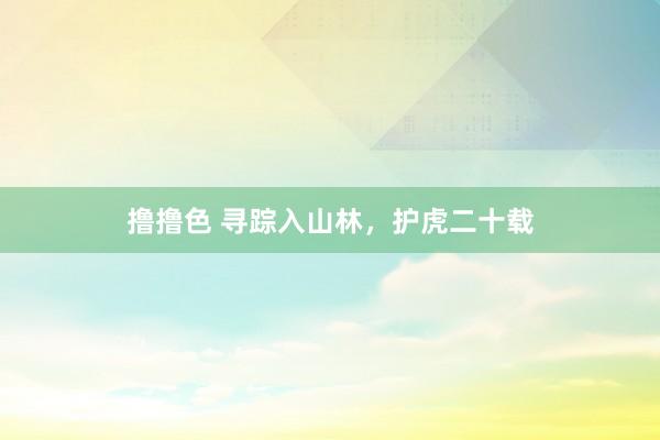 撸撸色 寻踪入山林，护虎二十载